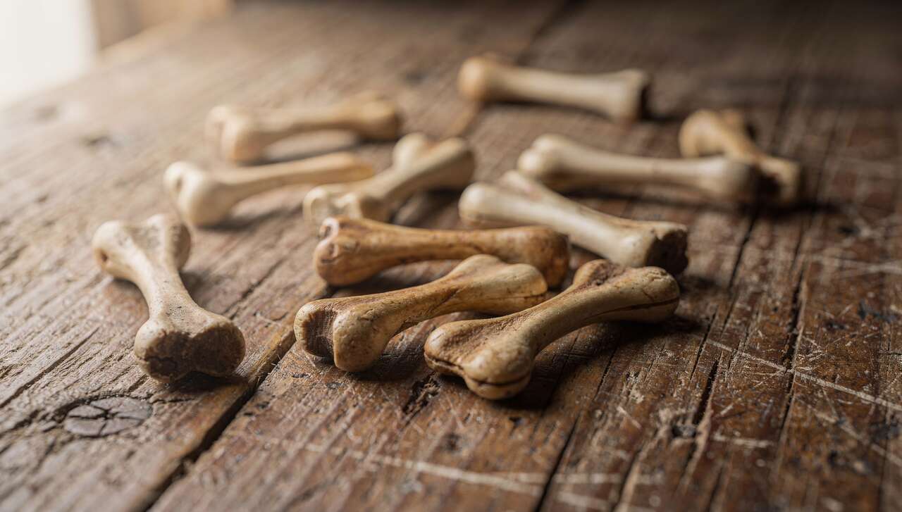 Origine et histoire du jeu des osselets